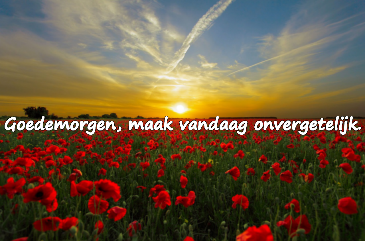 Goedemorgen Woorden