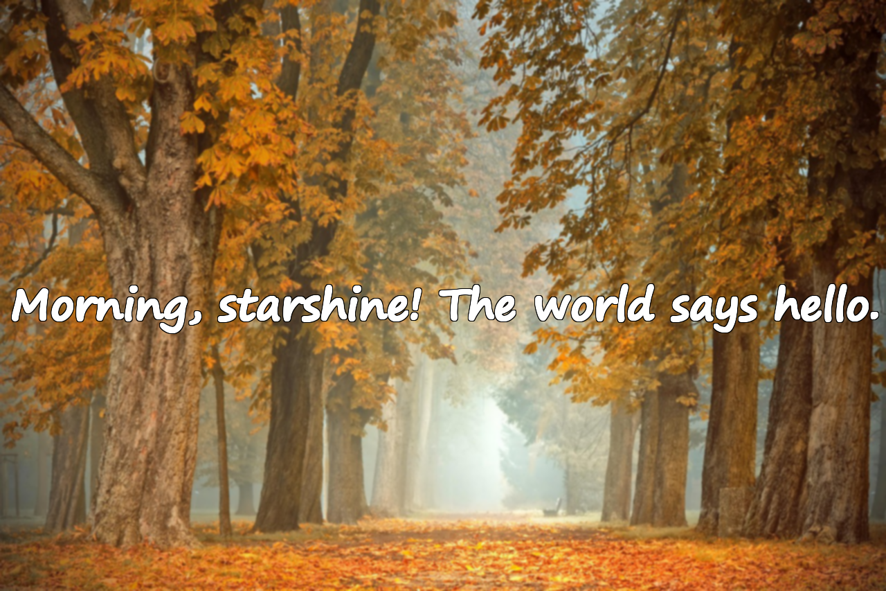 Good Morning Quotes
