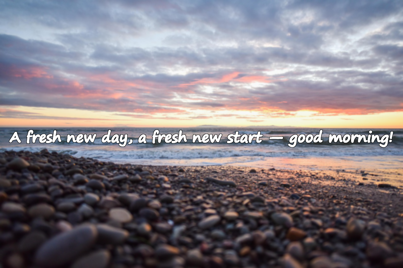 Good Morning Quotes