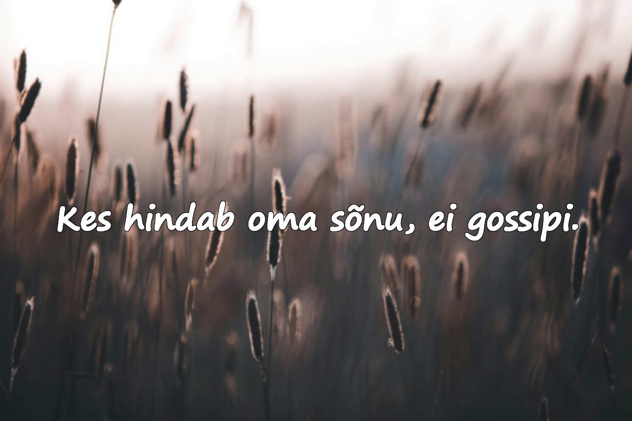 Gossipi kohta