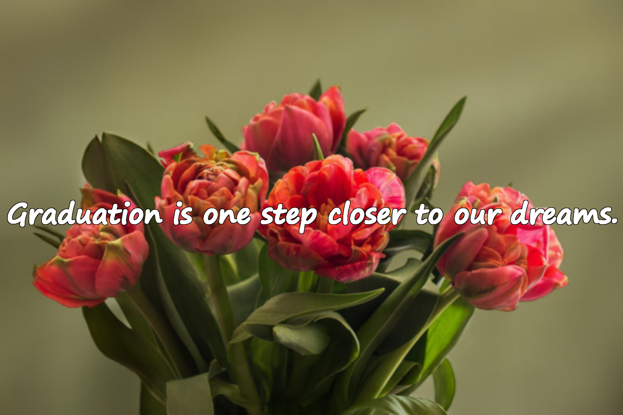 Graduation Quotes