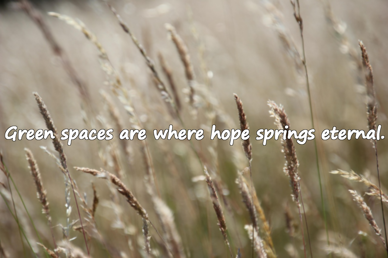 Green and Nature Quotes