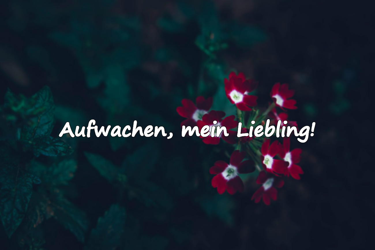 Guten Morgen Sprüche