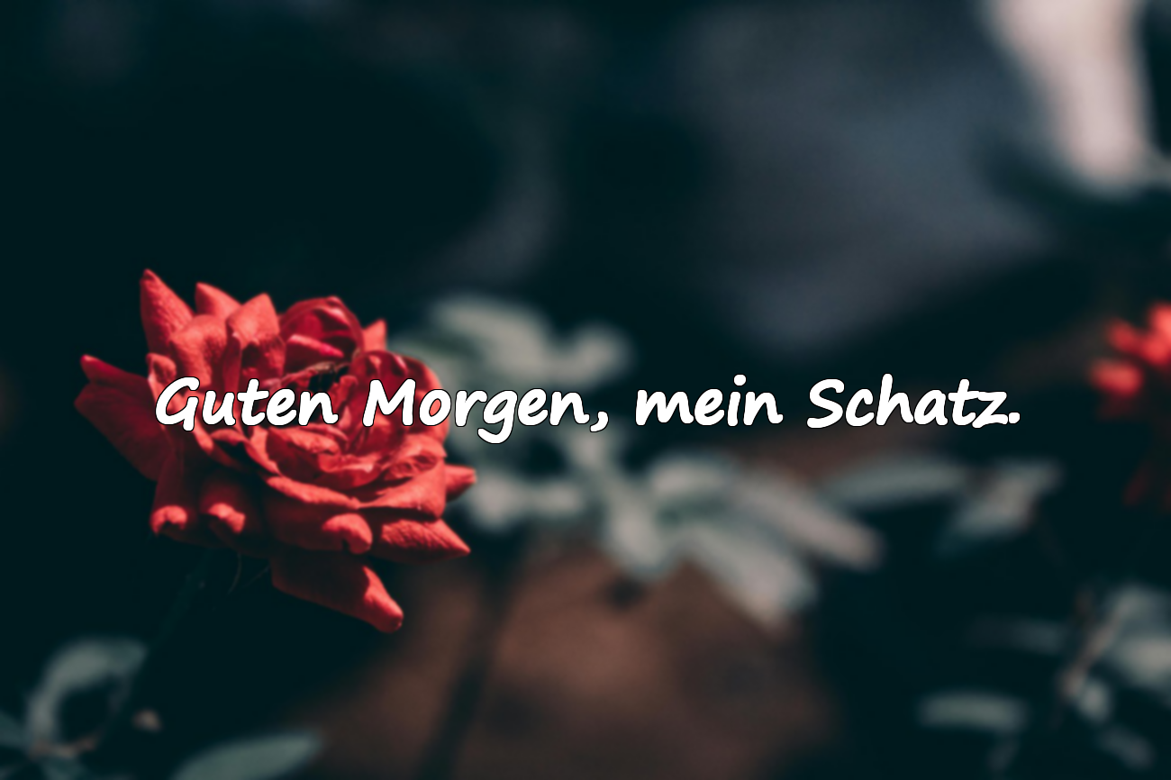Guten Morgen Sprüche