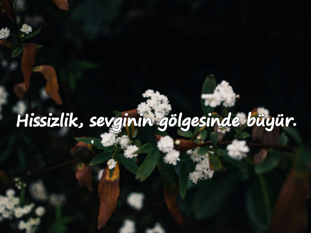 Hissizlik, sevginin gölgesinde büyür.