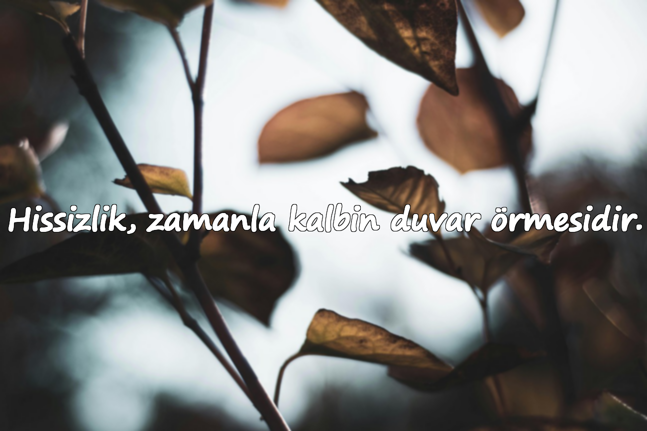 Hissizlik, zamanla kalbin duvar örmesidir.
