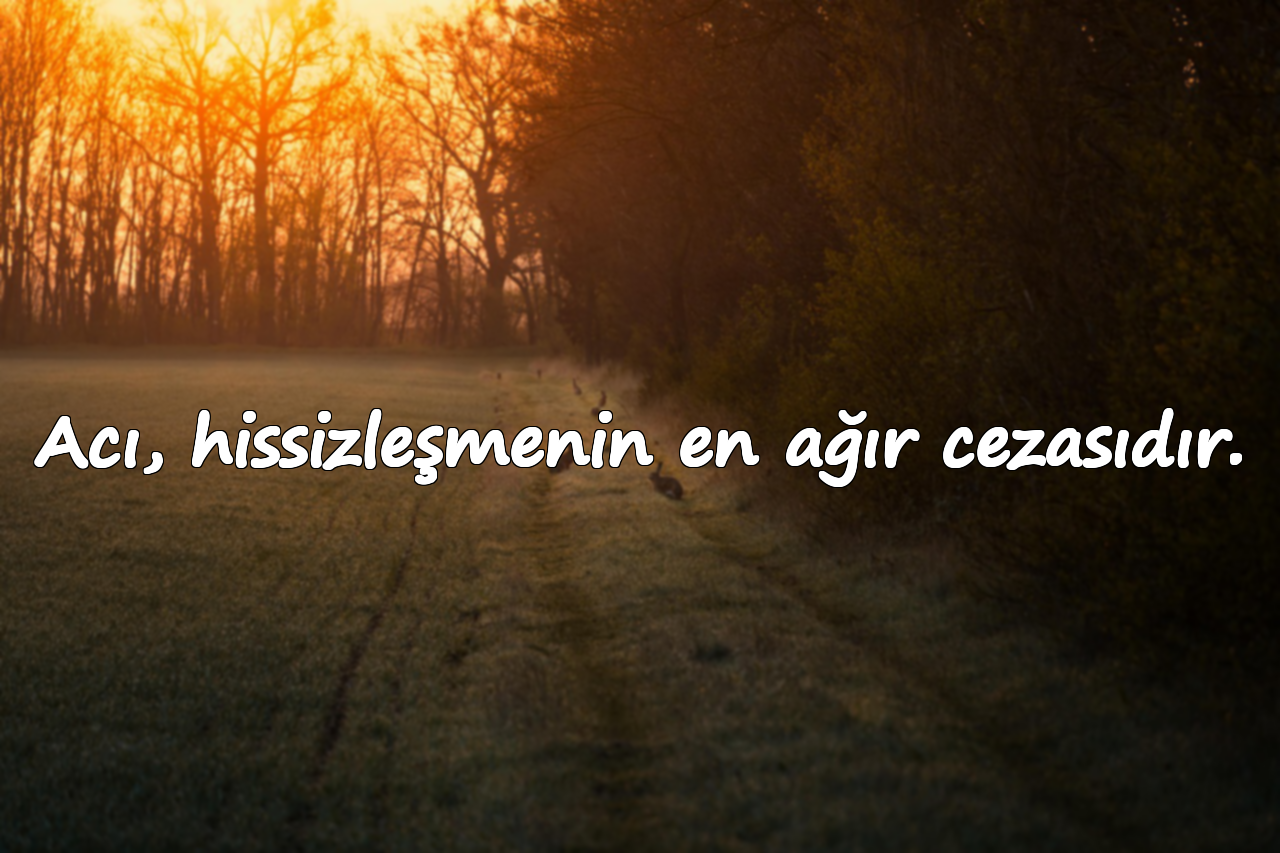 Acı, hissizleşmenin en ağır cezasıdır.