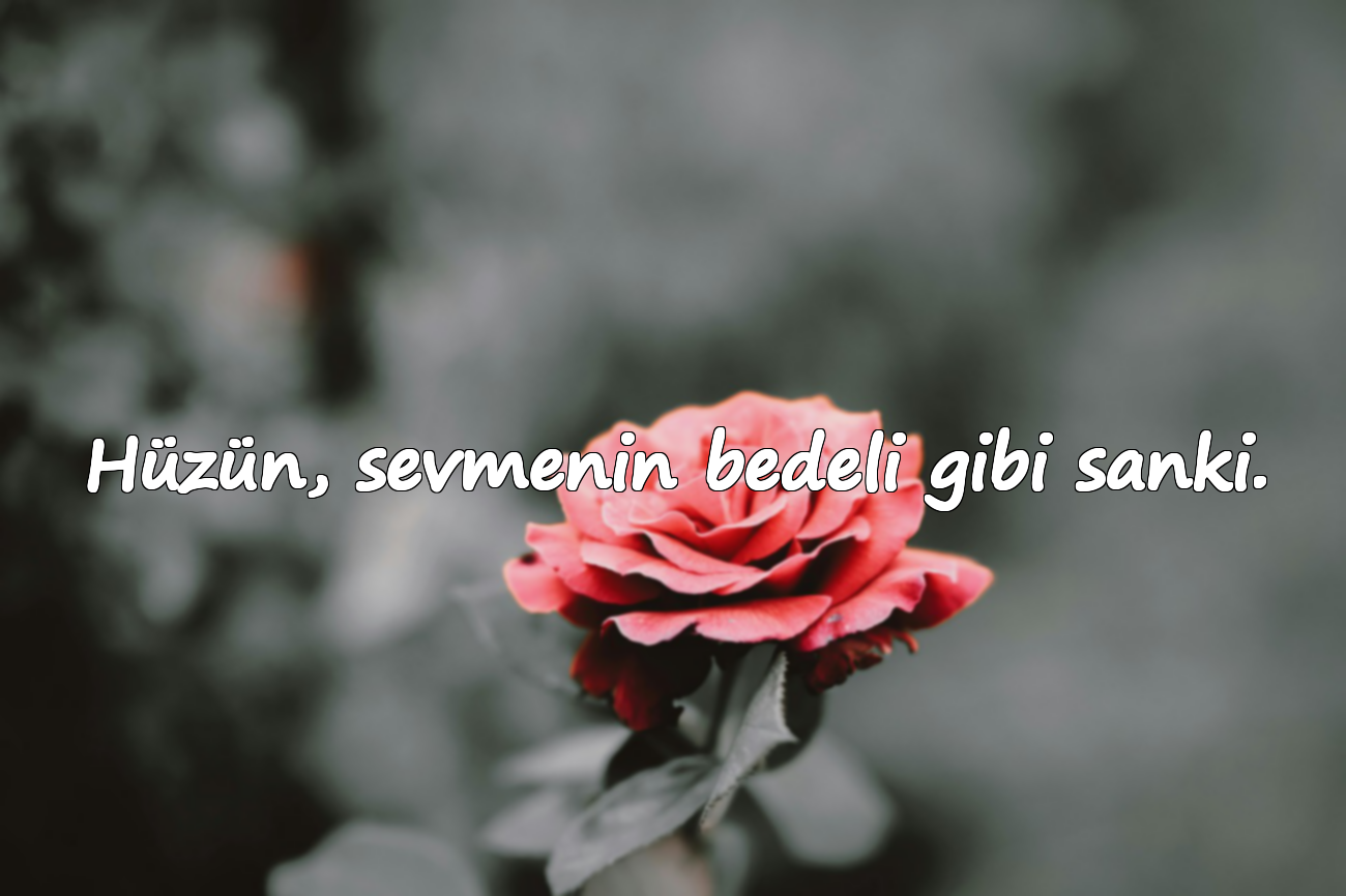 Hüzün, sevmenin bedeli gibi sanki.