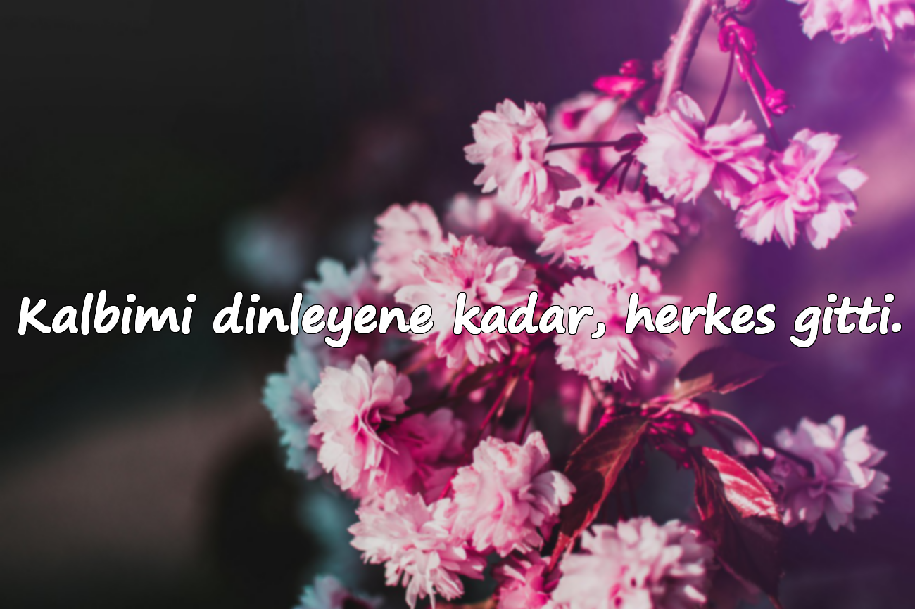 Kalbimi dinleyene kadar, herkes gitti.