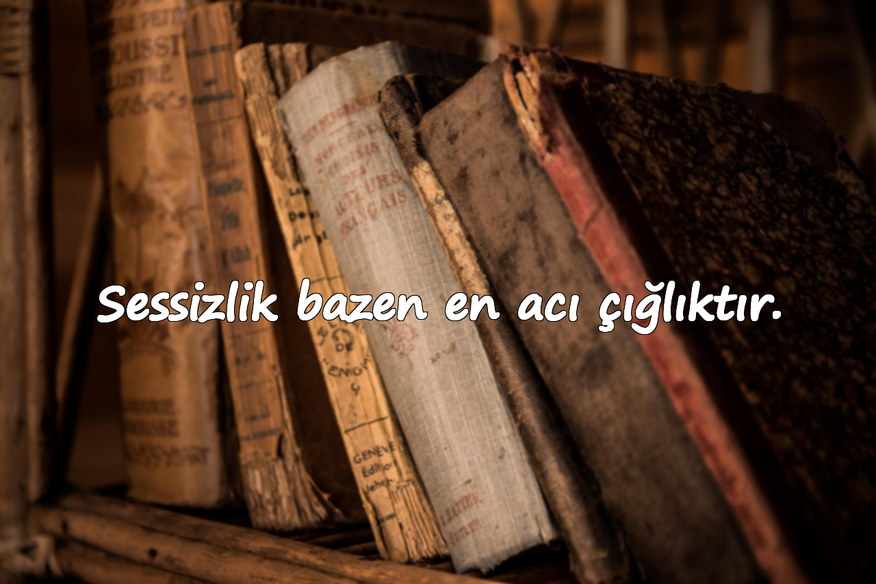 Sessizlik bazen en acı çığlıktır.