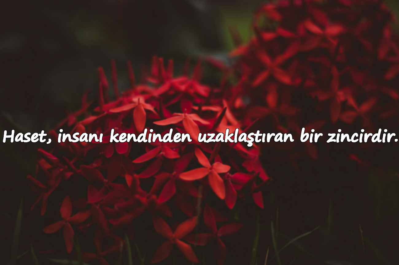 Haset, insanı kendinden uzaklaştıran bir zincirdir.