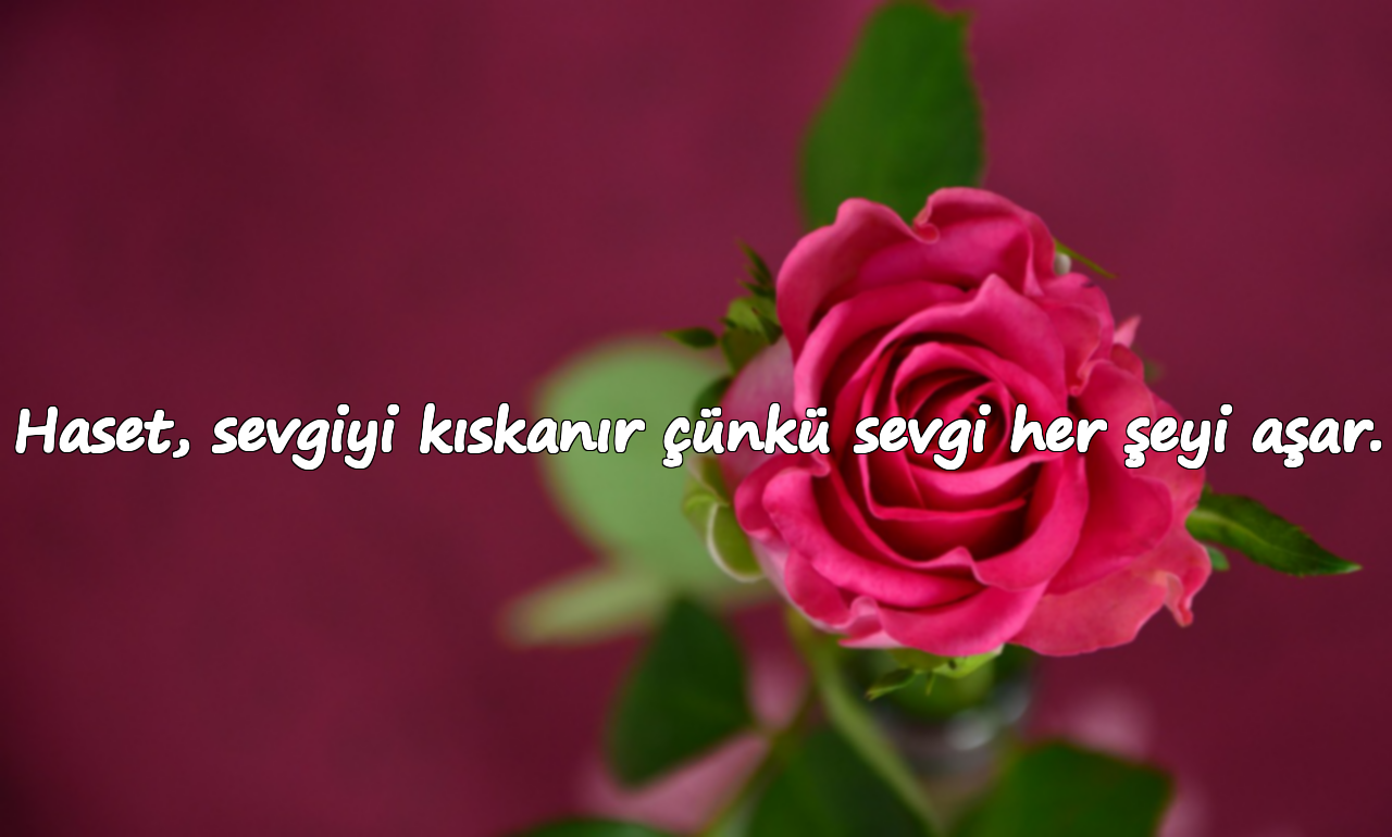 Haset, sevgiyi kıskanır çünkü sevgi her şeyi aşar.