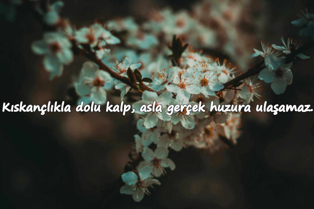 Kıskançlıkla dolu kalp, asla gerçek huzura ulaşamaz.