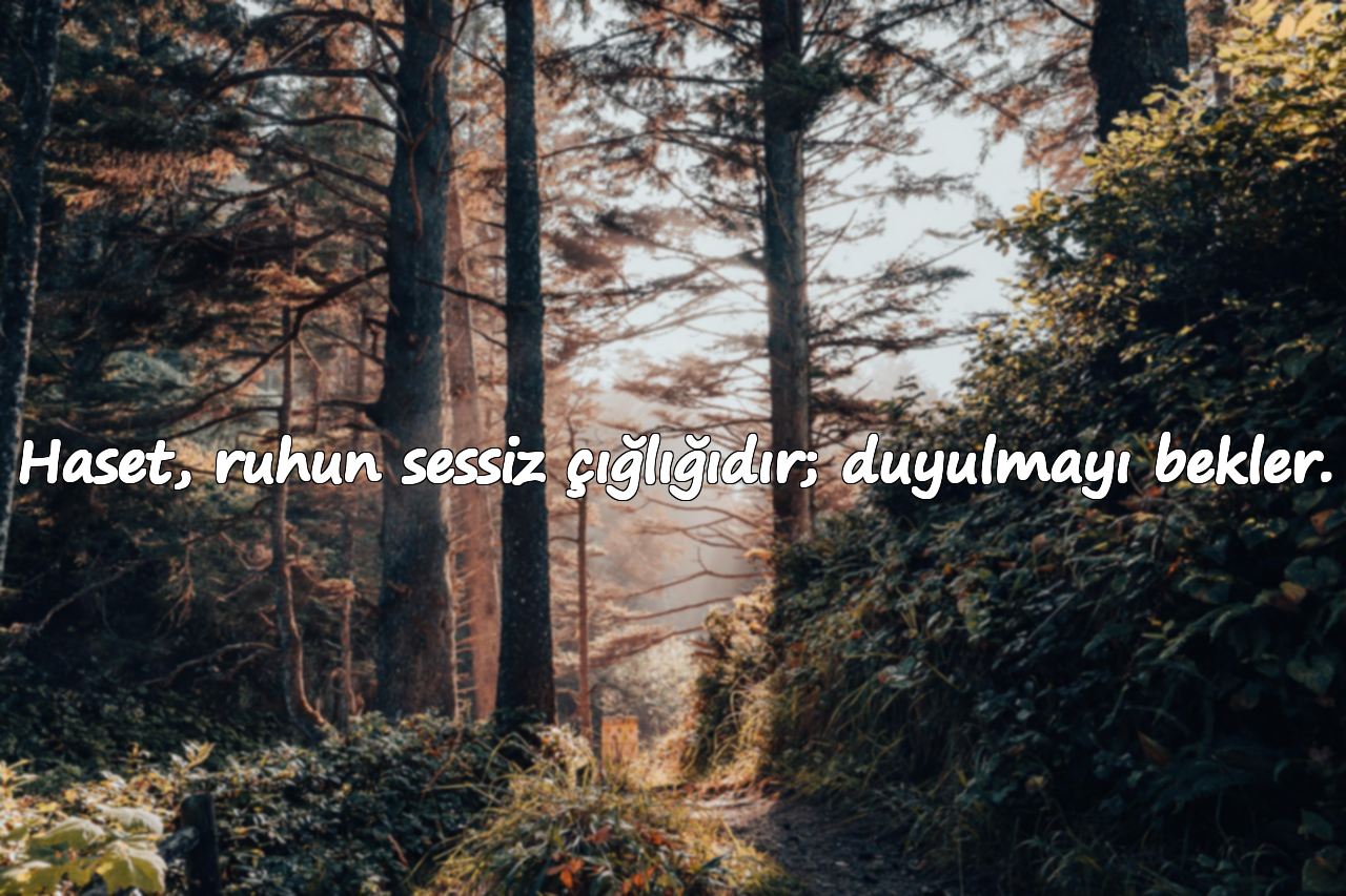 Haset, ruhun sessiz çığlığıdır; duyulmayı bekler.