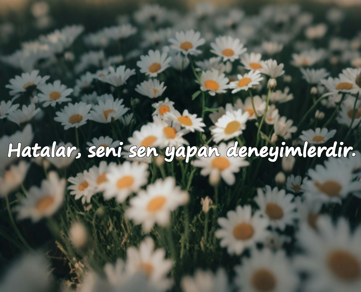 Hatalar, seni sen yapan deneyimlerdir.