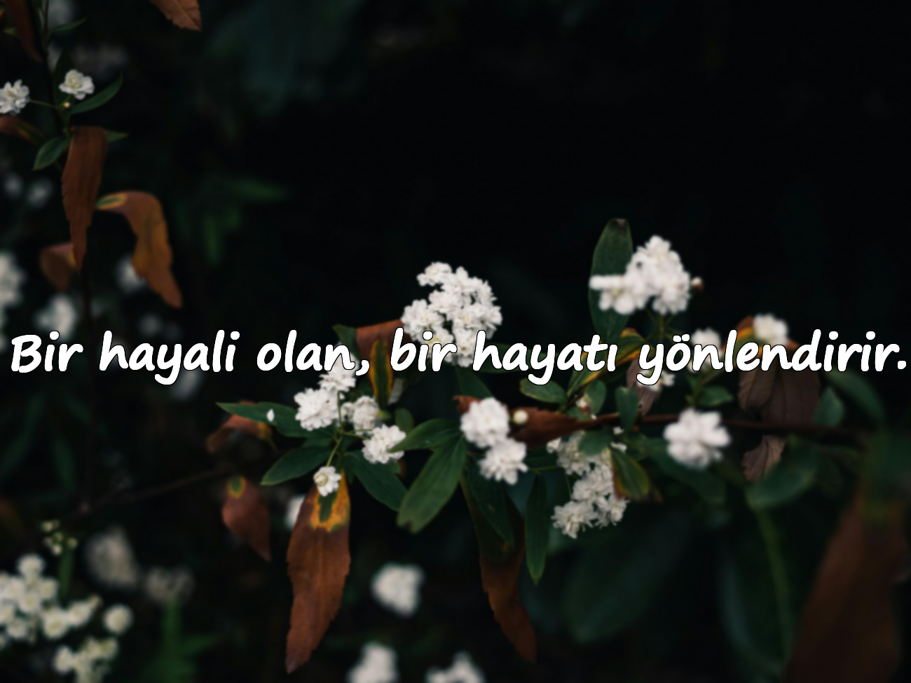 Bir hayali olan, bir hayatı yönlendirir.