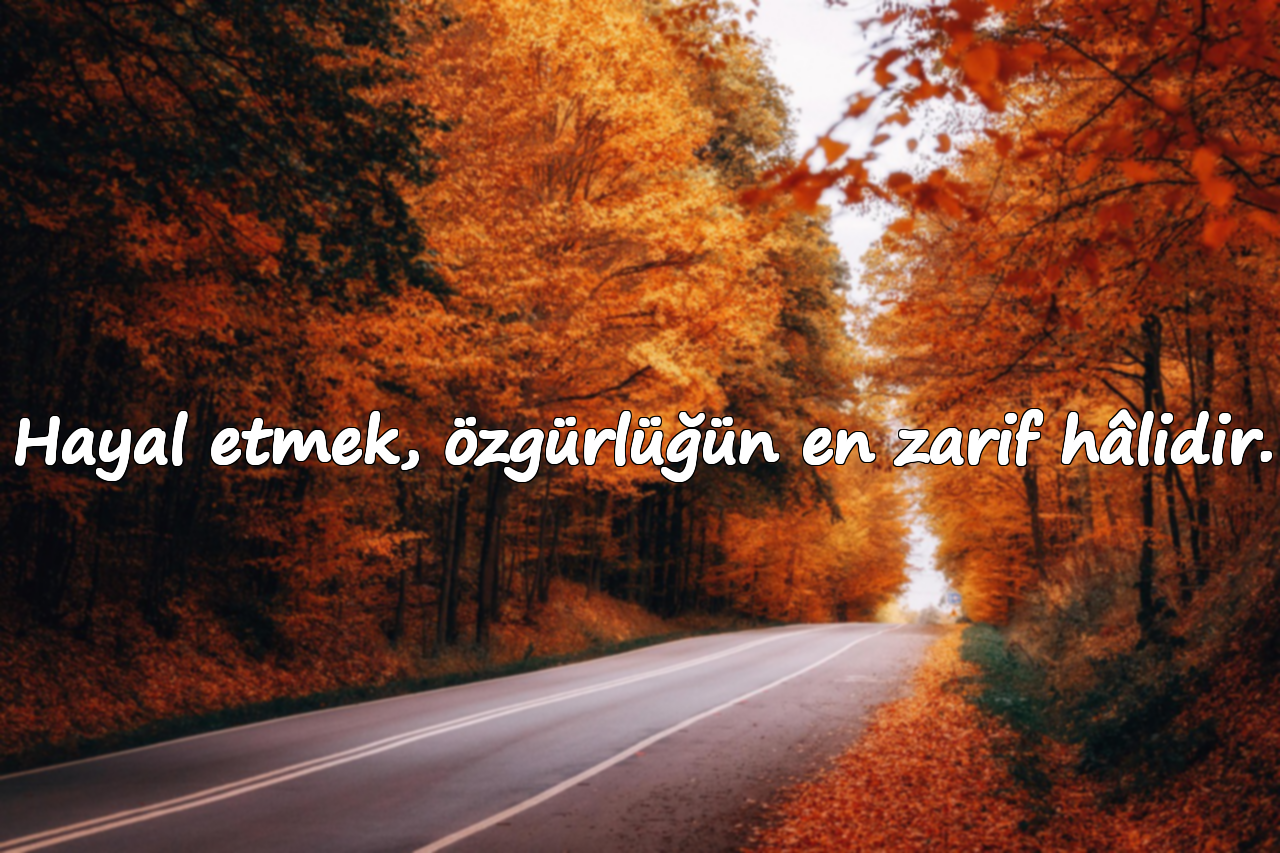 Hayal etmek, özgürlüğün en zarif hâlidir.