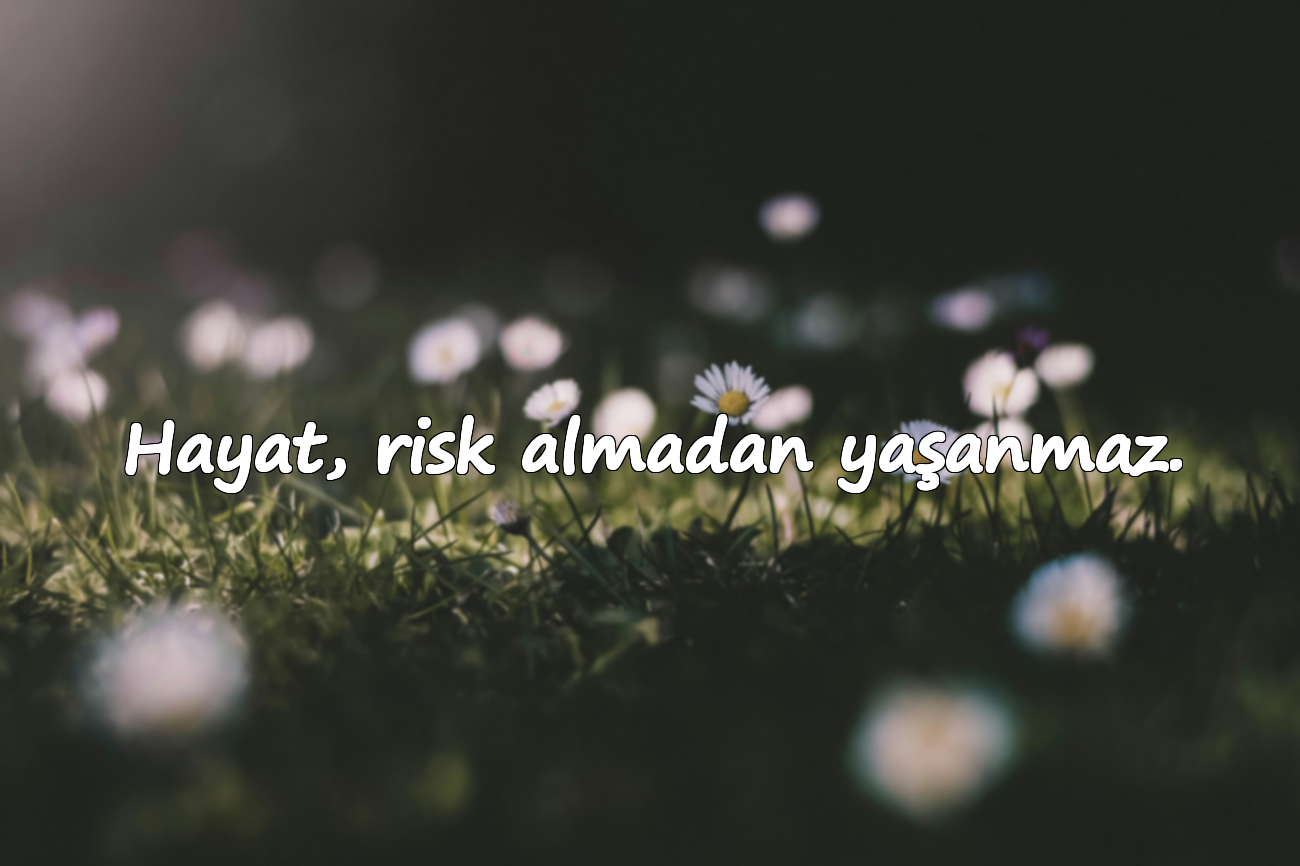 Hayat, risk almadan yaşanmaz.