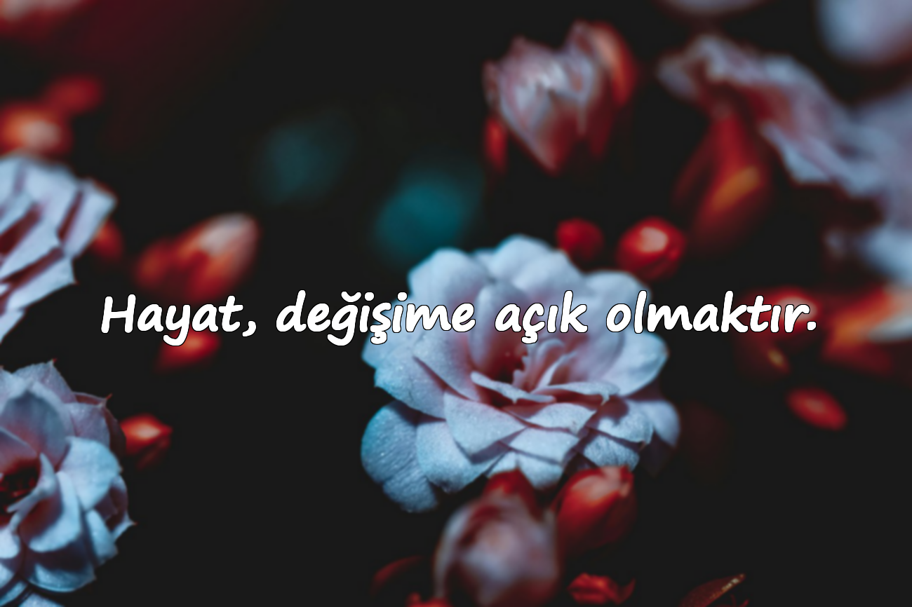 Hayat, değişime açık olmaktır.