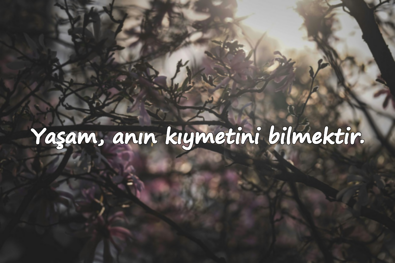 Yaşam, anın kıymetini bilmektir.