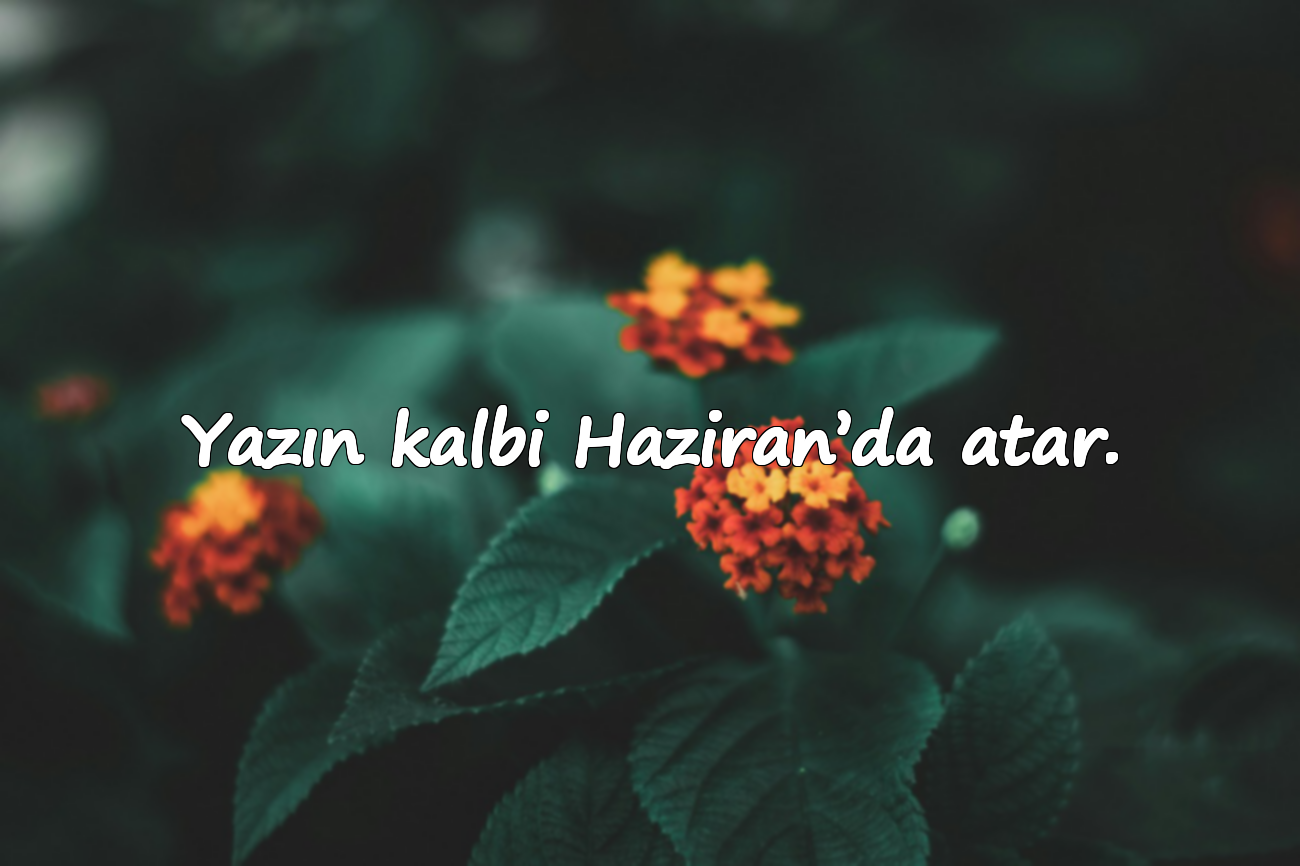 Yazın kalbi Haziran’da atar.