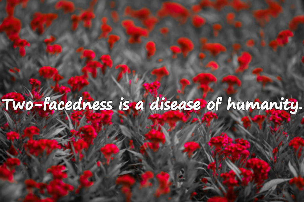 Heavy, Allusive Words for Two-Faced People