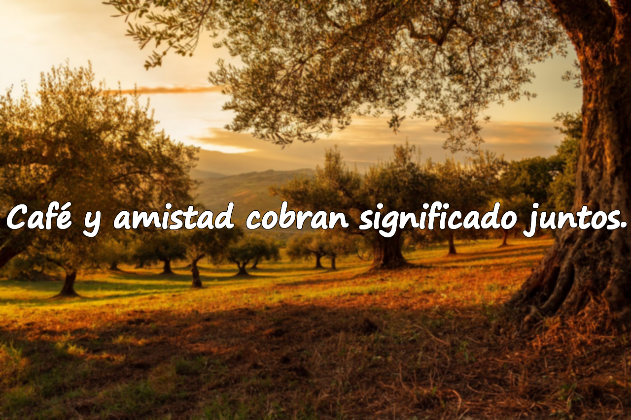 Café y amistad cobran significado juntos.