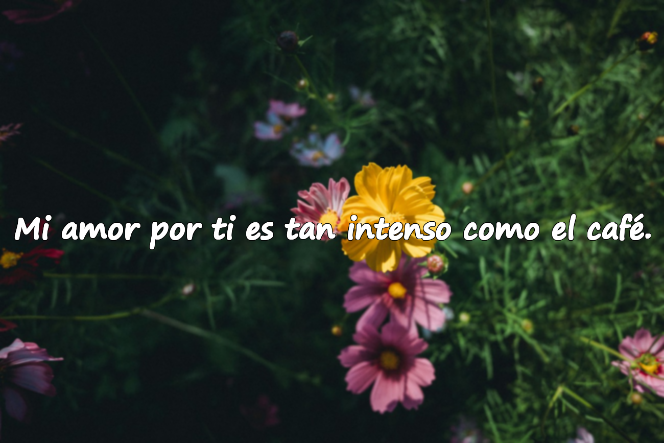 Mi amor por ti es tan intenso como el café.