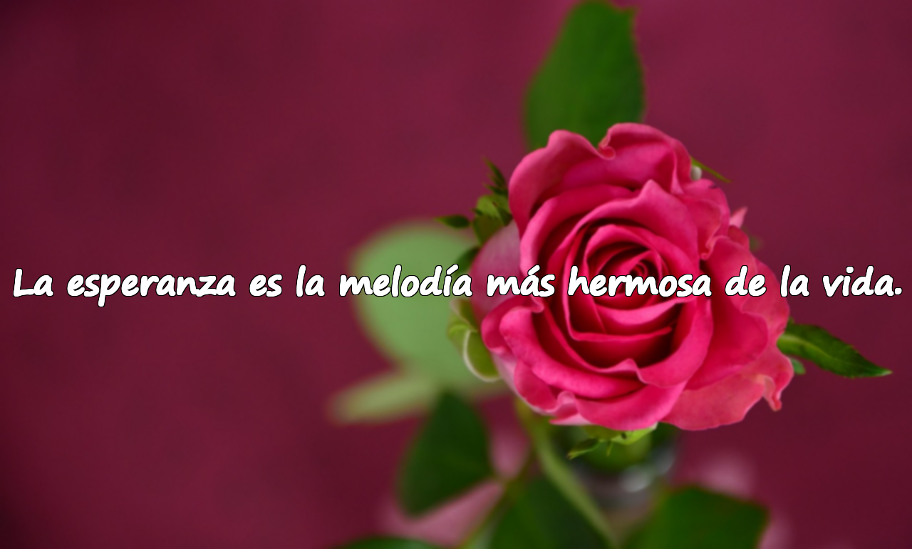 Hermosas frases sobre la esperanza