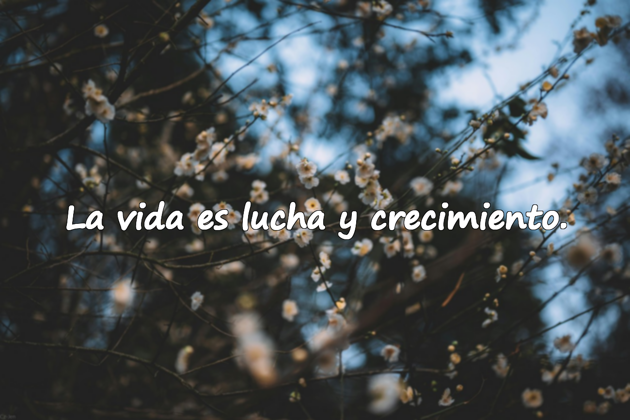 La vida es lucha y crecimiento.