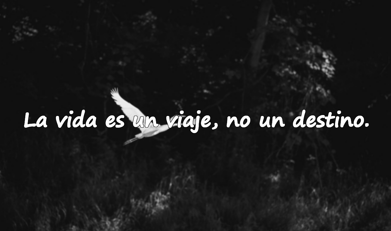 La vida es un viaje, no un destino.