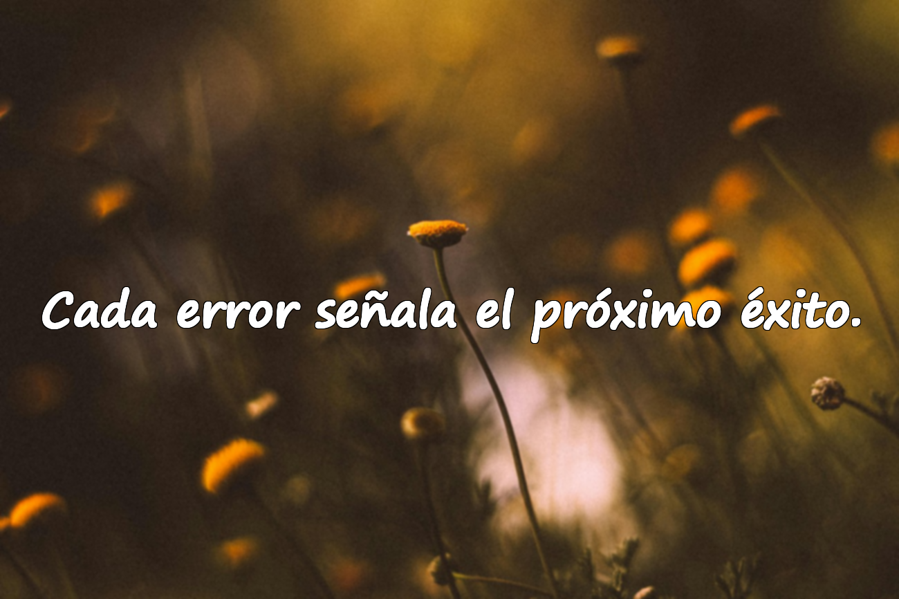 Cada error señala el próximo éxito.