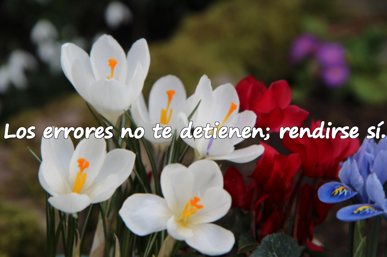 Los errores no te detienen; rendirse sí.