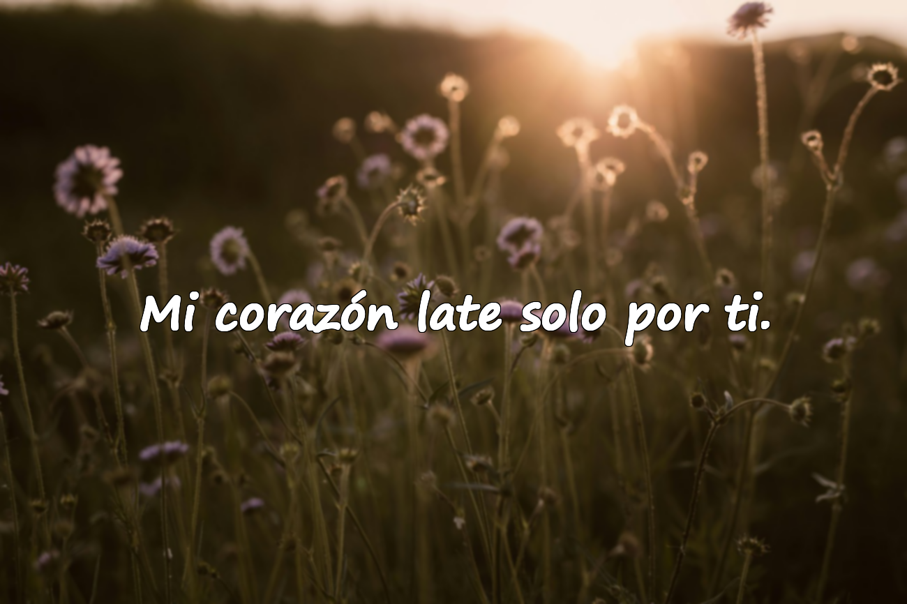 Mi corazón late solo por ti.