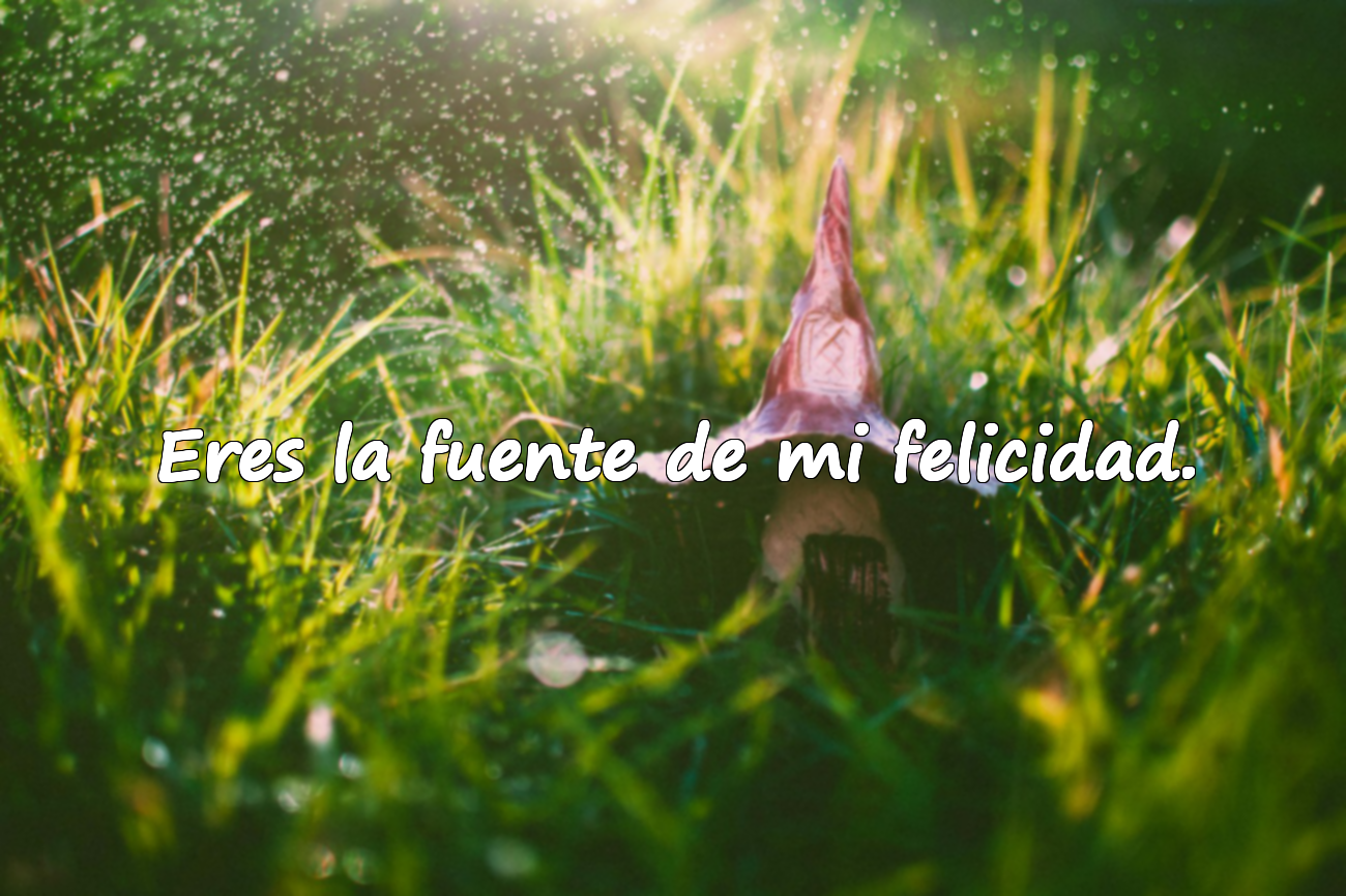 Eres la fuente de mi felicidad.