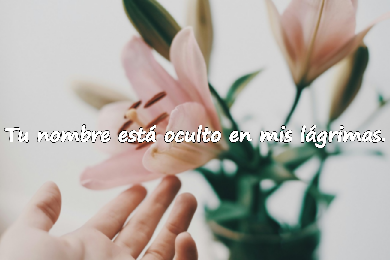 Hermosas palabras sobre la añoranza y el extrañar