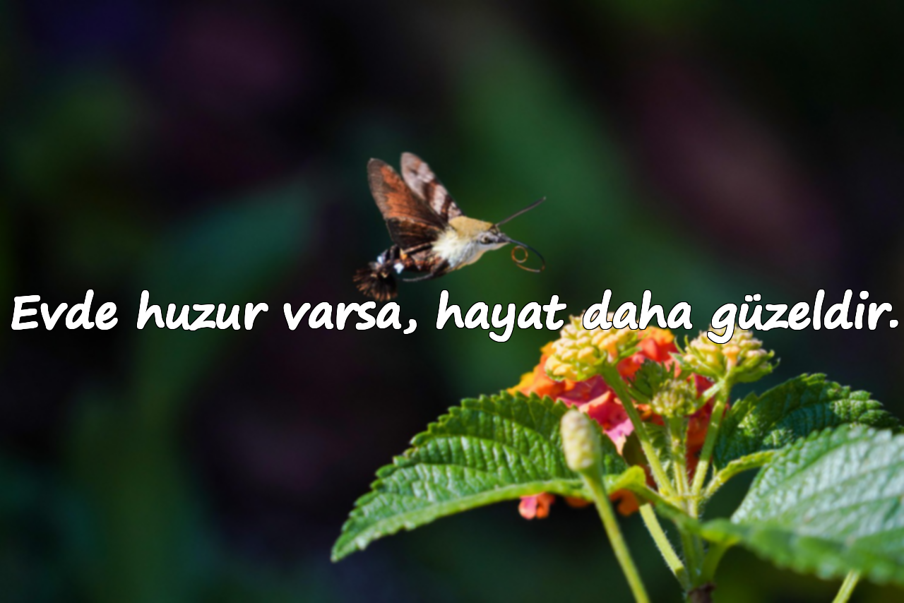 Evde huzur varsa, hayat daha güzeldir.