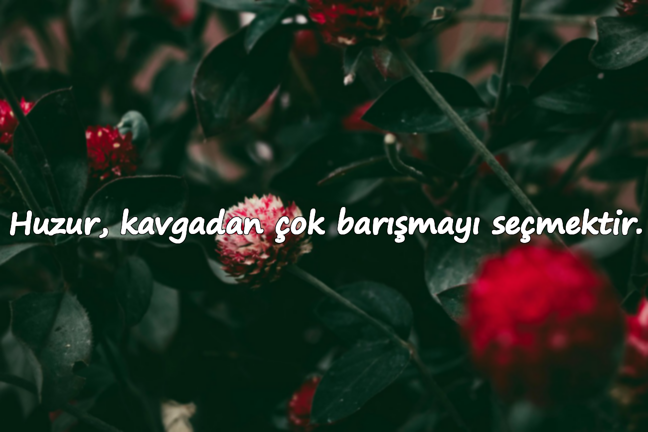 Huzur, kavgadan çok barışmayı seçmektir.