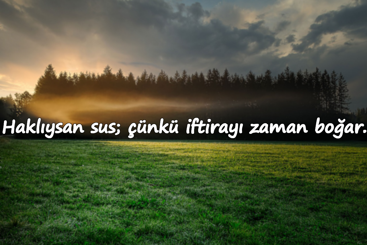 Haklıysan sus; çünkü iftirayı zaman boğar.