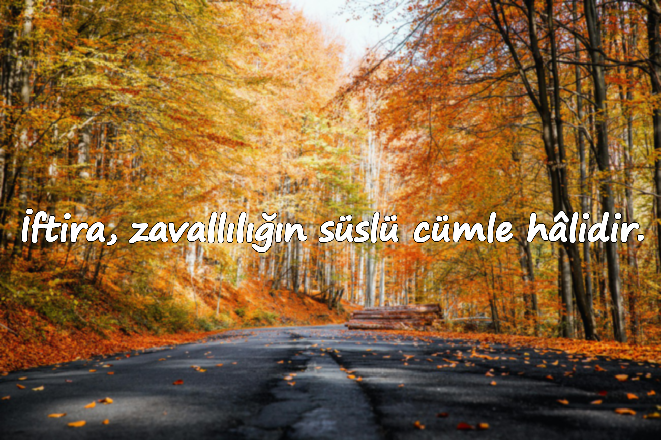 İftira, zavallılığın süslü cümle hâlidir.