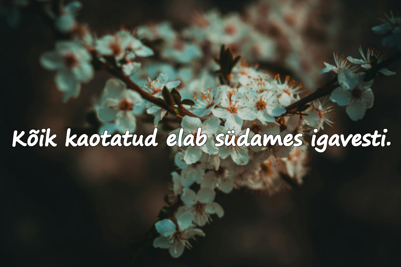 Ilusad sõnad igatsusest ja puudumisest