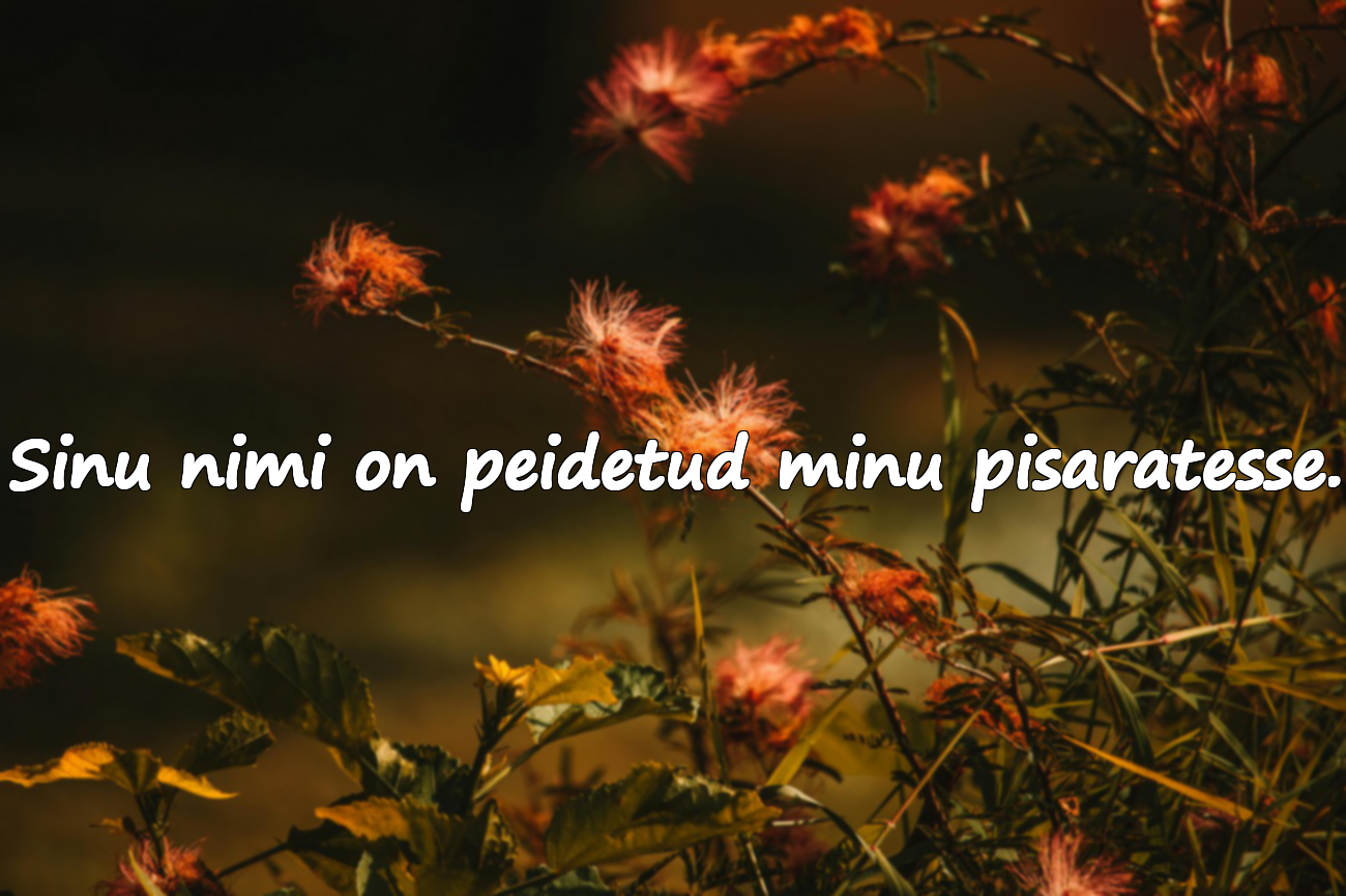 Ilusad sõnad igatsusest ja puudumisest
