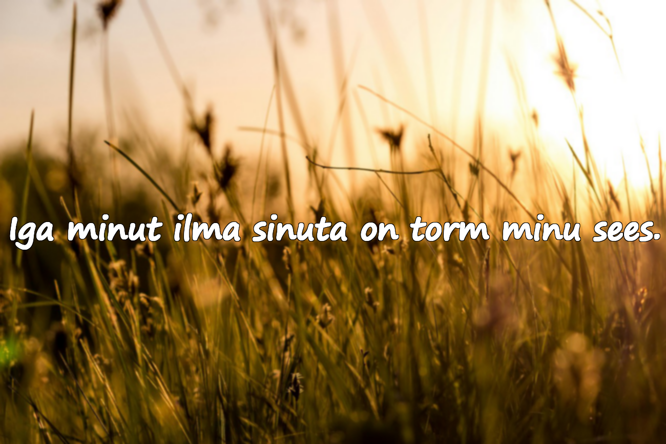 Ilusad sõnad igatsusest ja puudumisest