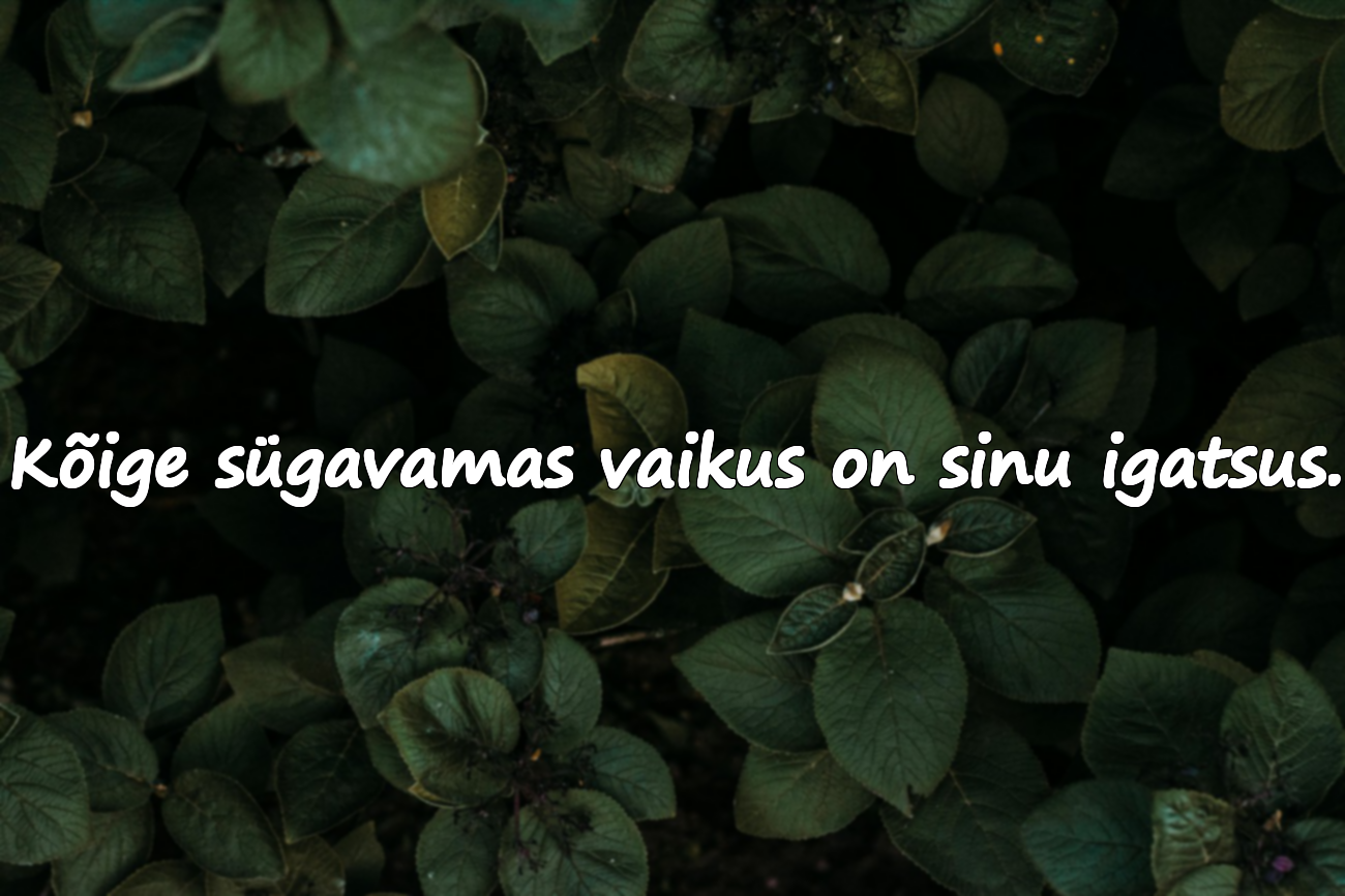 Ilusad sõnad igatsusest ja puudumisest