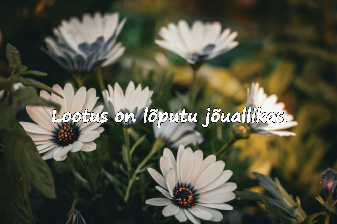 Ilusad sõnad lootusest