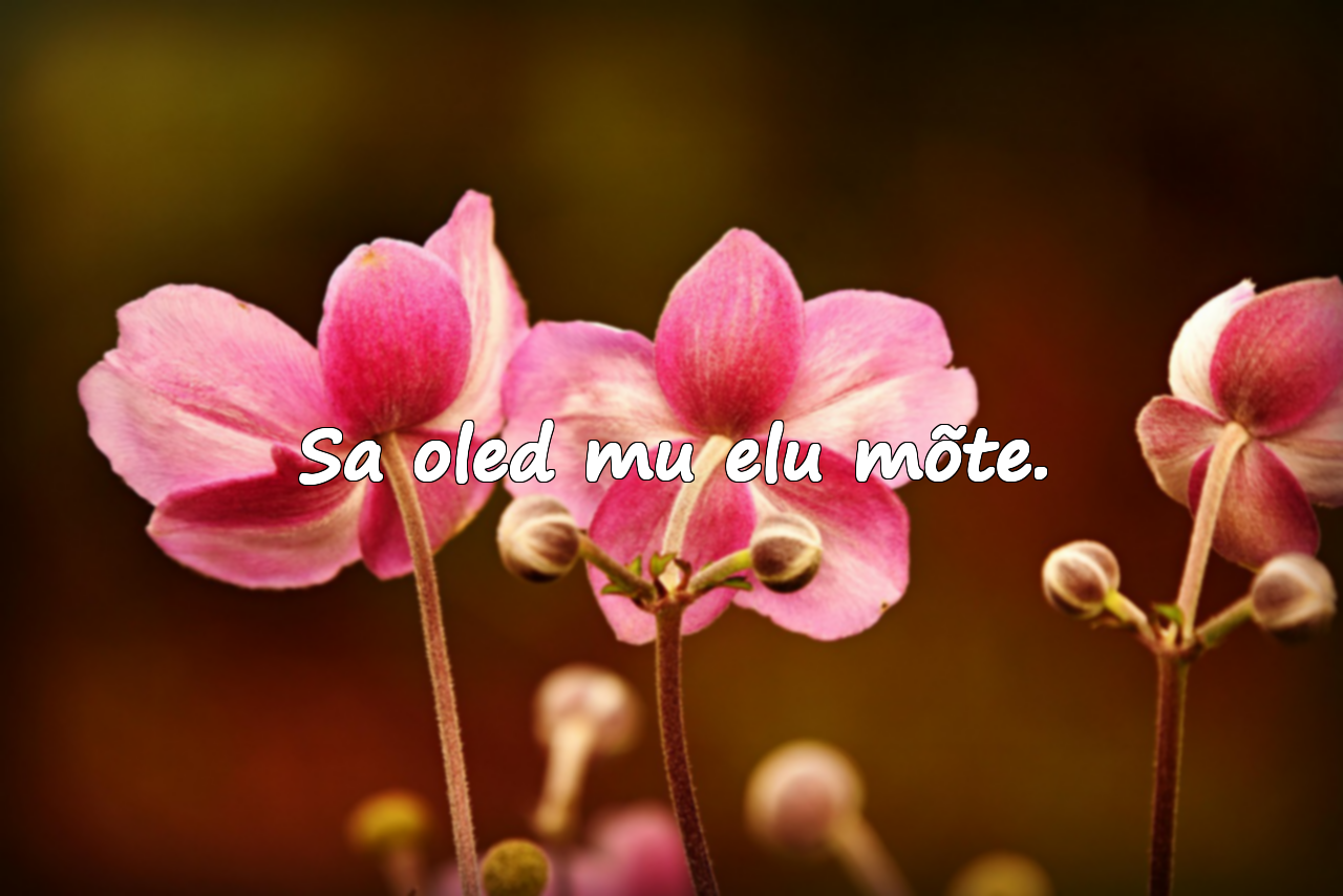 Ilusad sõnad oma abikaasale