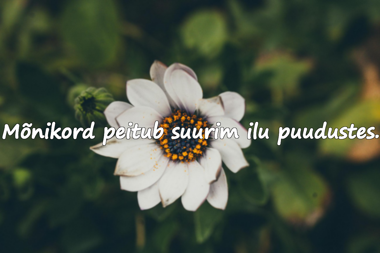 Ilusad sõnad puuduste kohta