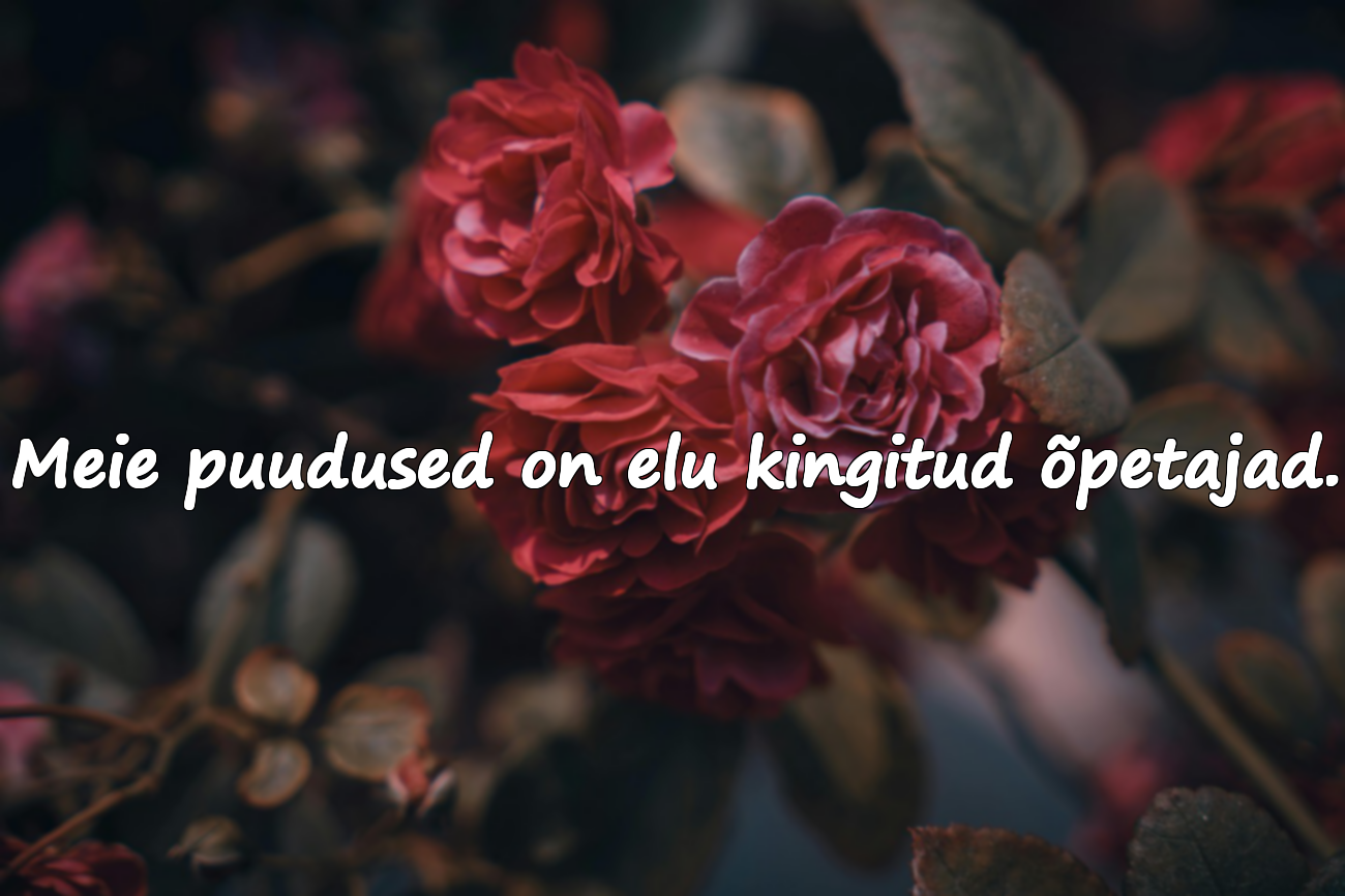 Ilusad sõnad puuduste kohta