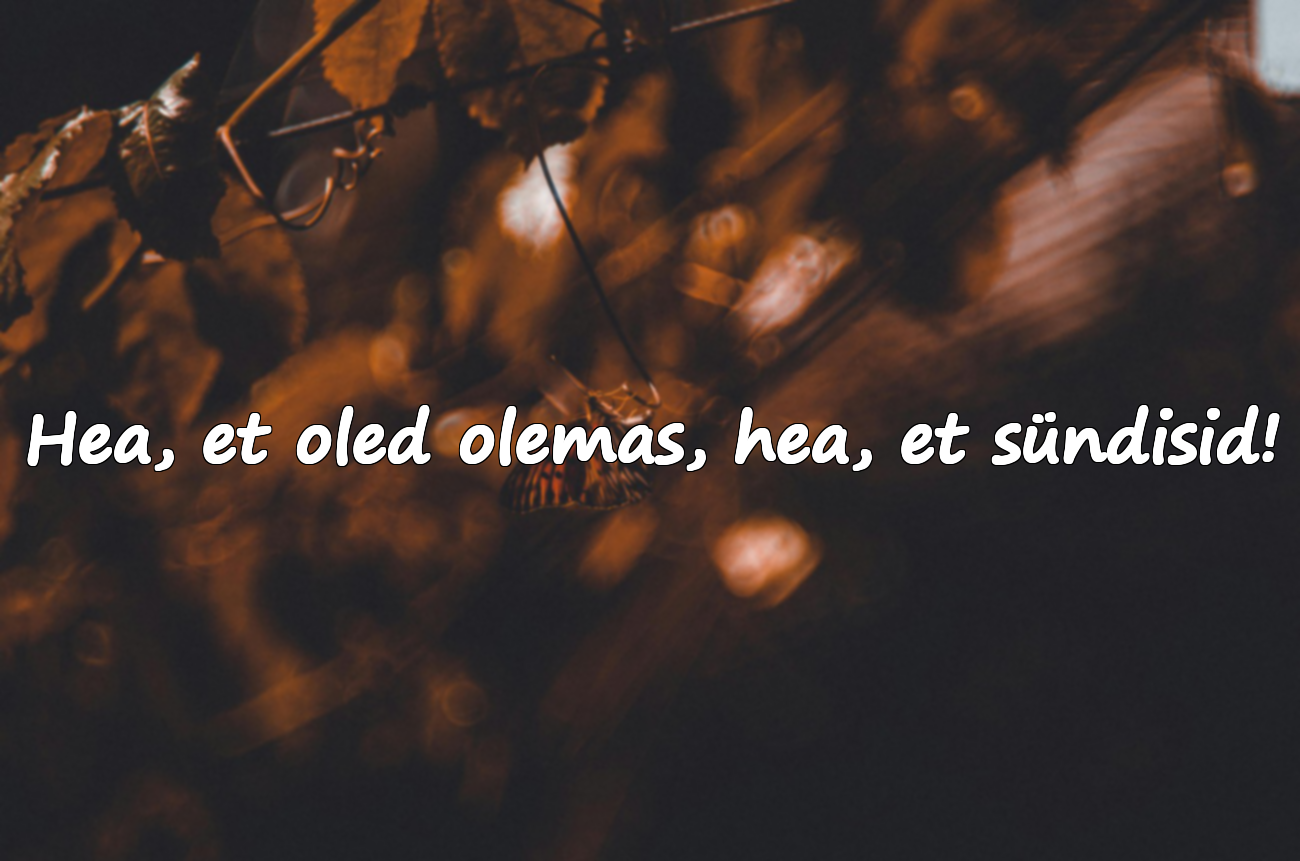 Ilusad sünnipäevasoovid