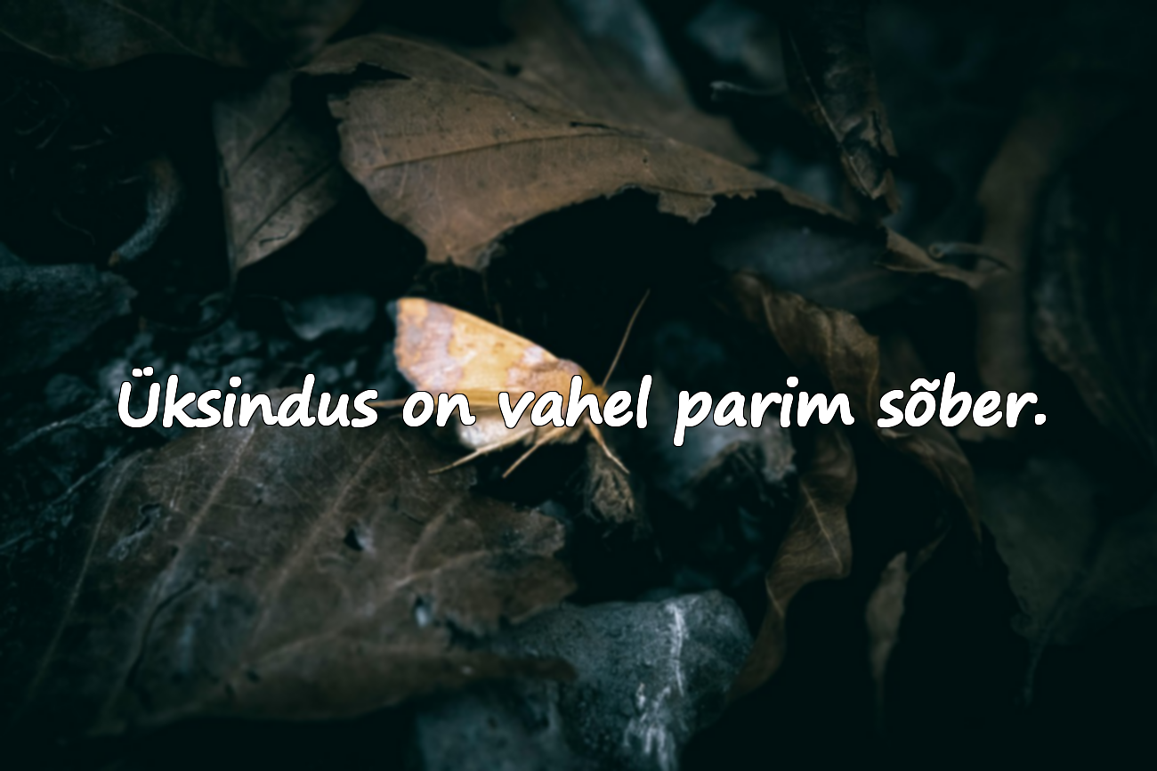 Ilusad tsitaadid üksindusest